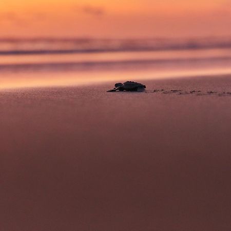 Готель One Acapulco Diamante Екстер'єр фото
